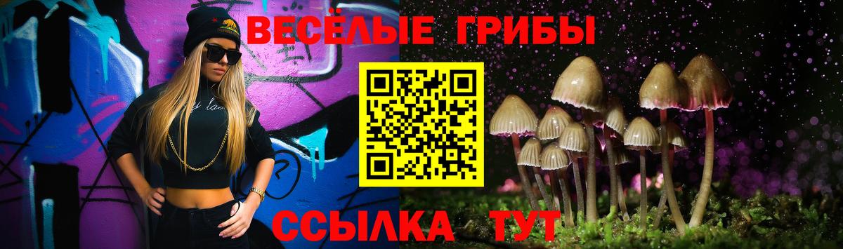 Псилоцибиновые грибы Psilocybe  Вход с VPN  Волгодонск  Галлюциногенные грибы мухоморы 