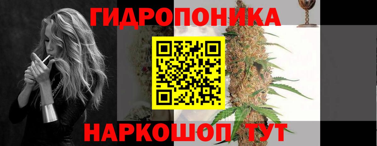 Марихуана White Widow  Конопля THC 21%  Вход с VPN  Волгодонск  Конопля планчик 